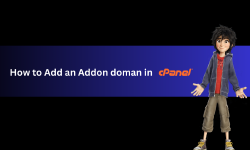 Featured image of post How to Add an Addon Domain in cPanel