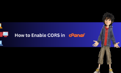 Featured image of post How to Enable CORS in cPanel