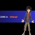 How to Enable CORS in cPanel